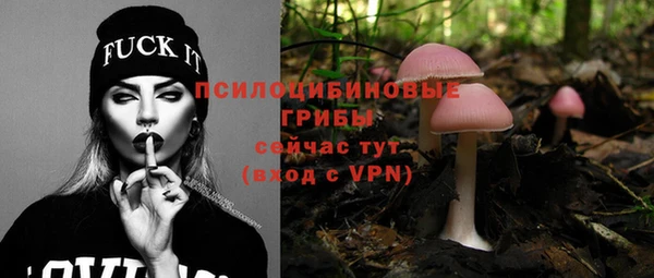 дживик Нея