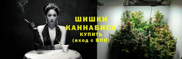дживик Нея
