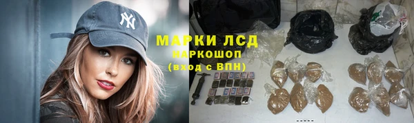 PSILOCYBIN Армянск