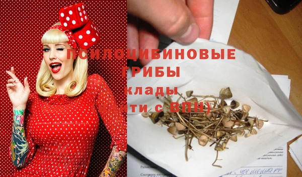 прущий лед Аркадак