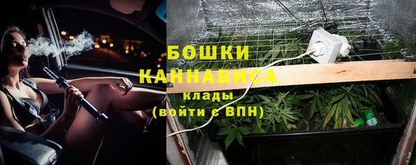 PSILOCYBIN Армянск